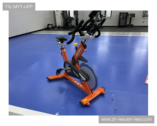 高端健身器材品牌商详解家庭健身房搭建攻略 高端健身器材品牌商详解家庭健身房搭建攻略