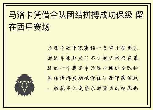 马洛卡凭借全队团结拼搏成功保级 留在西甲赛场